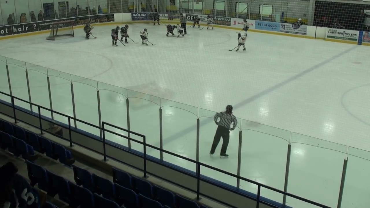 Tigers v Toronto Wolverines   2026 02 09 00411
