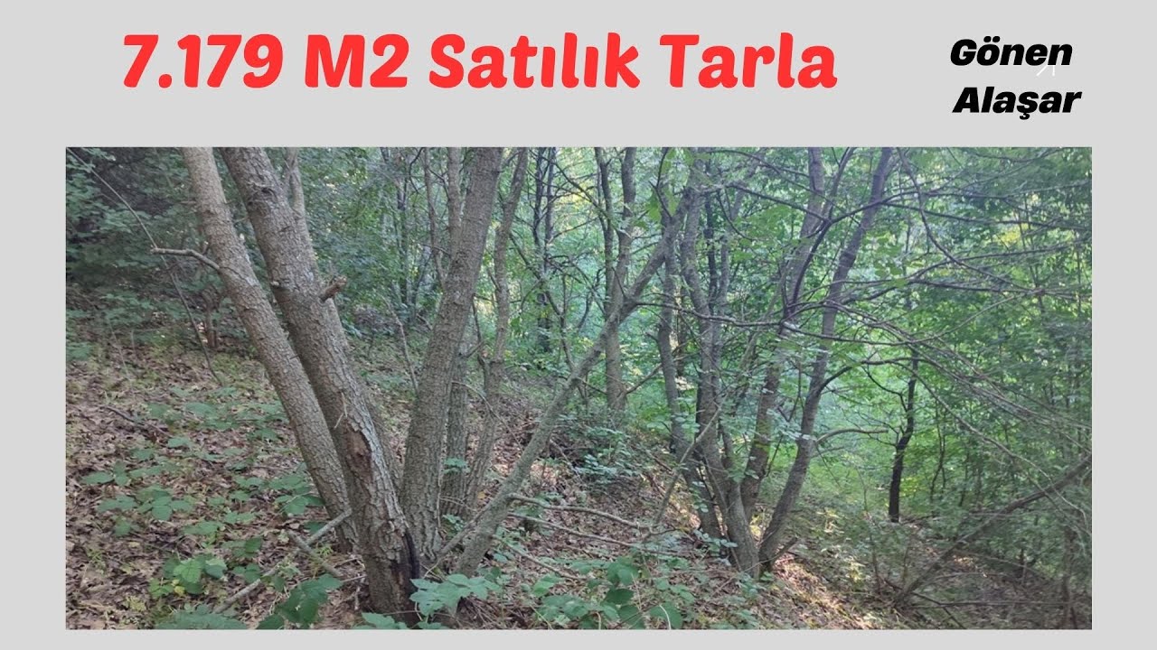 x Keşif Arazi  7.179 m2 Tarla Balıkesir Gönen Alaşar110-15    700.000