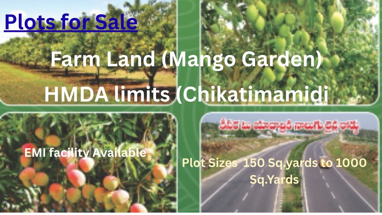 Plots for sale in low investment projects- Farmland (mango garden) in HMDA limits