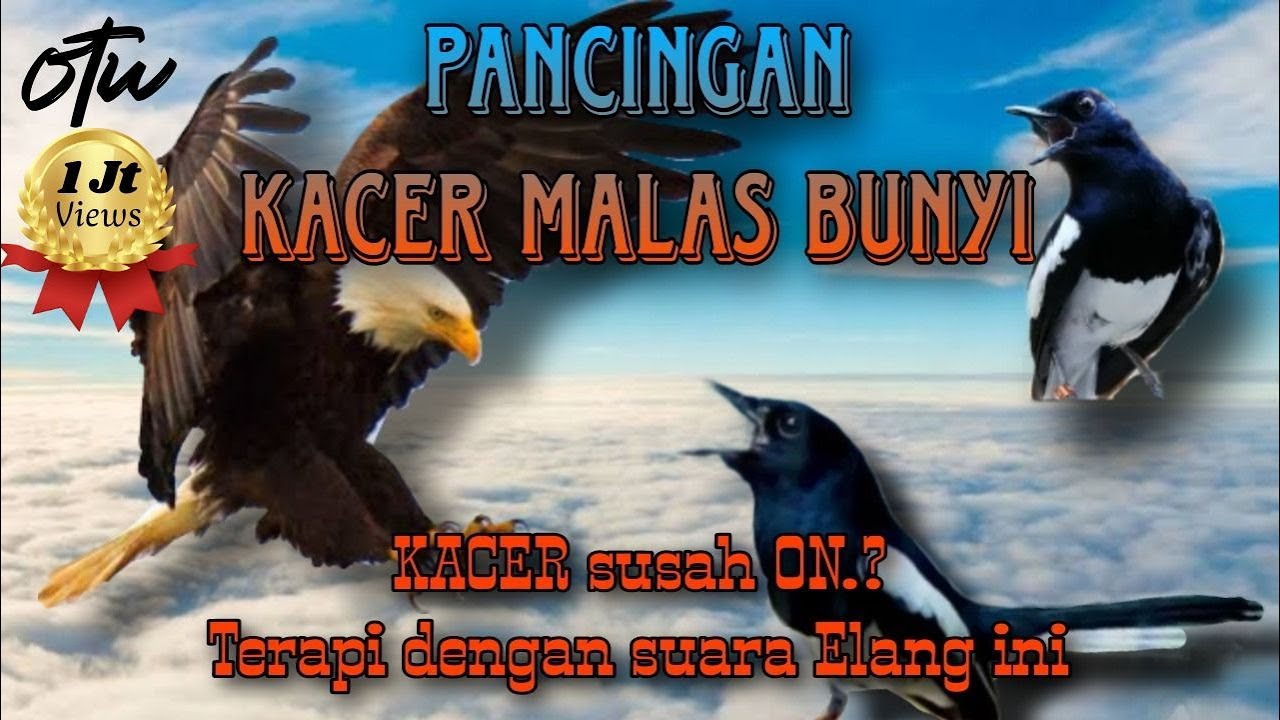 KACER susah ON? malas bunyi? lambat panas? coba pancing dengan 