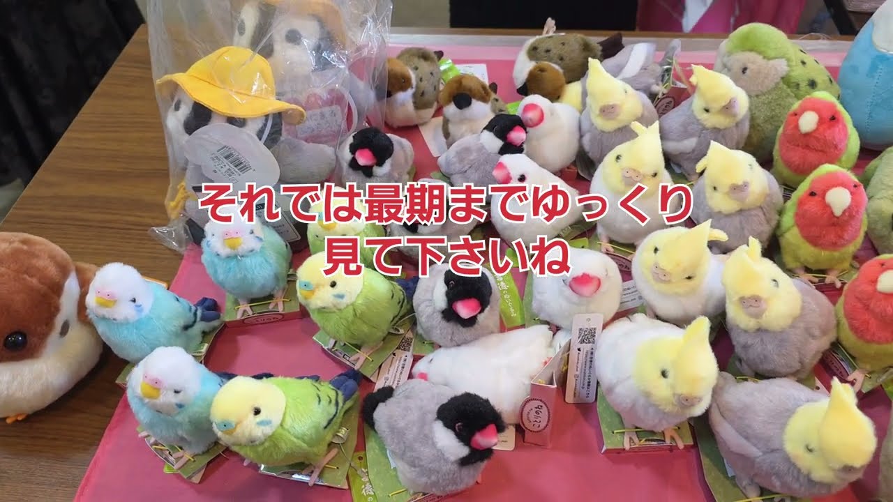「鳥フェス松山開催」可愛いグッズや雑貨大集合