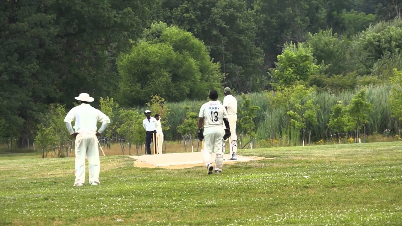 Tej Patel knocks down Guyanese batsman