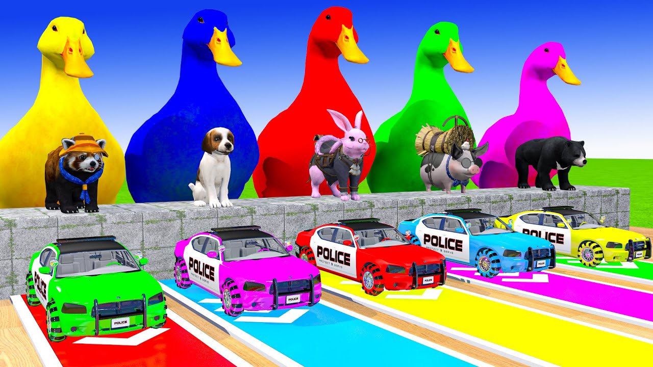 Long Slide Game With Cow Elephant Gorilla Hippopotamus Tiger 3d Animal Game Funny 3d Animals