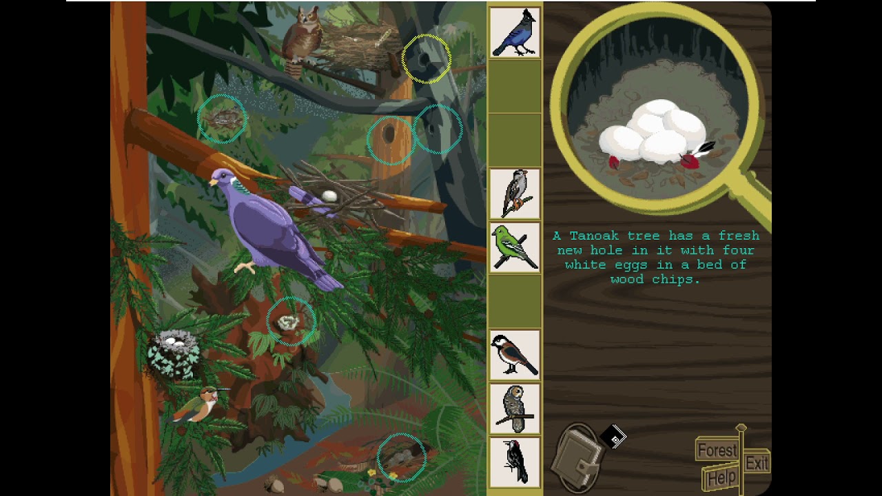 Redwoods Explorer - Part 4 - Who Was Here Activity
