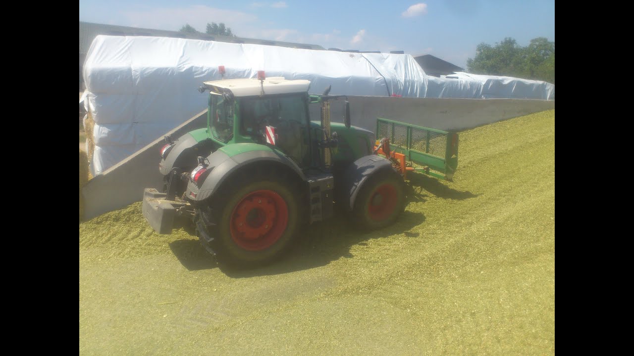 THE BOSS OF SILAGE - Fendt 828 Vario Profi - ADAMI G.