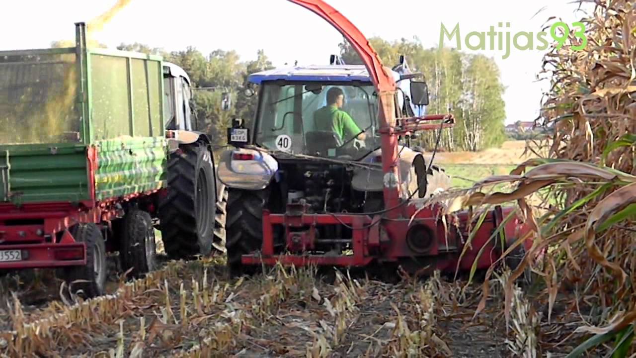 Zbiór kukurydzy na kiszonkę 2012 [New Holland T5040 & Massey Ferguson 5455 i inni]