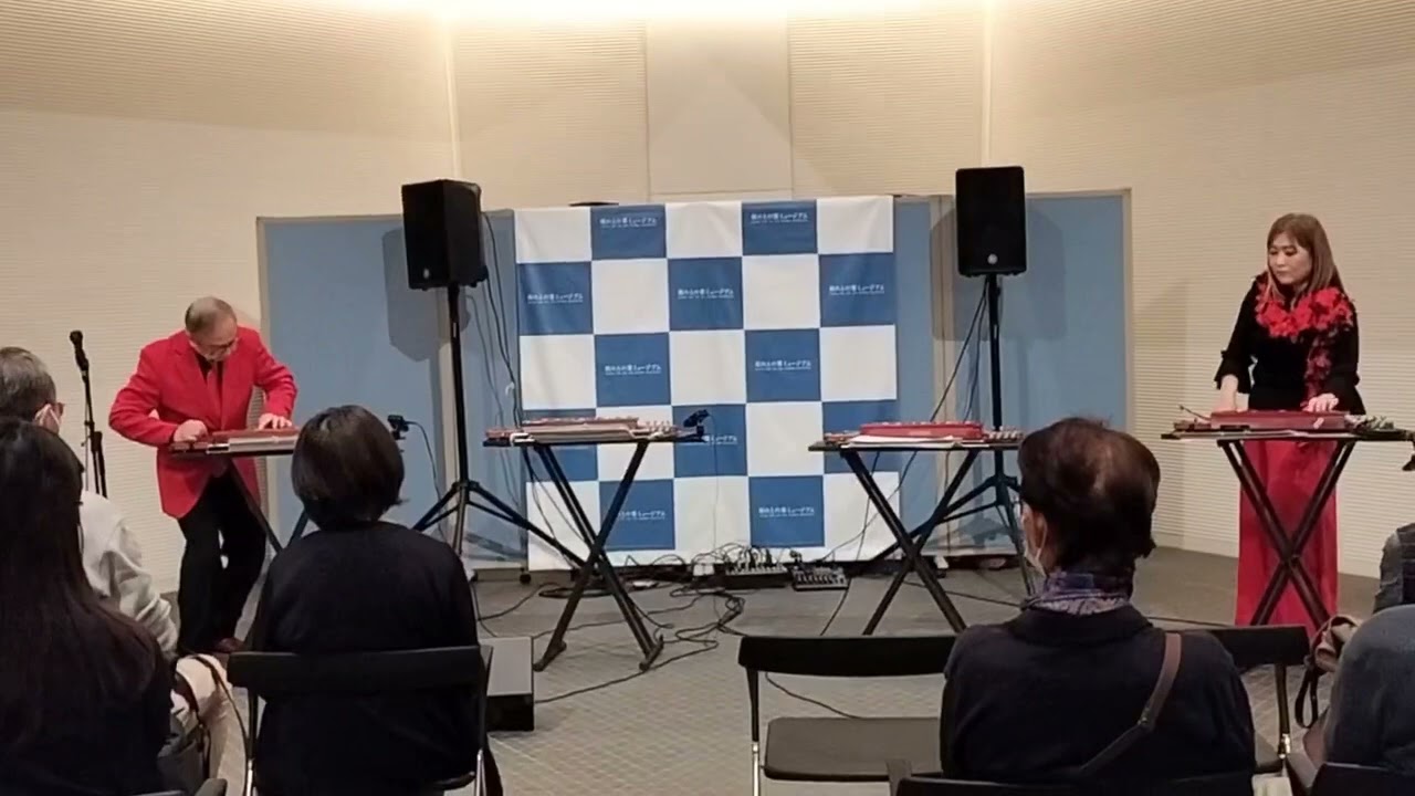#Violyre#Vision#ヴィオリラ#進化版大正琴#ヴィジョン