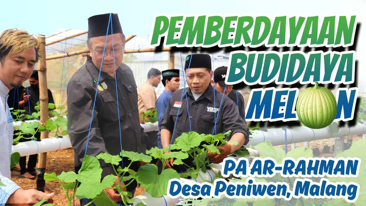 Budidaya Melon Sistem Hidroponik di Panti Asuhan Malang