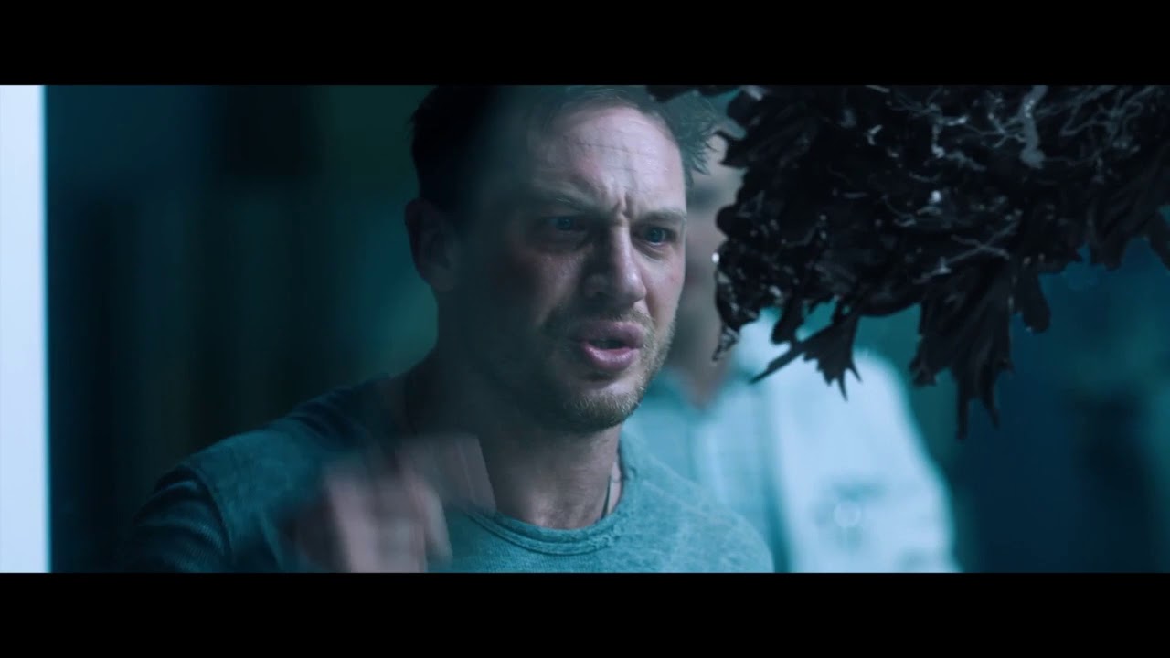 Starlight - Symbrock