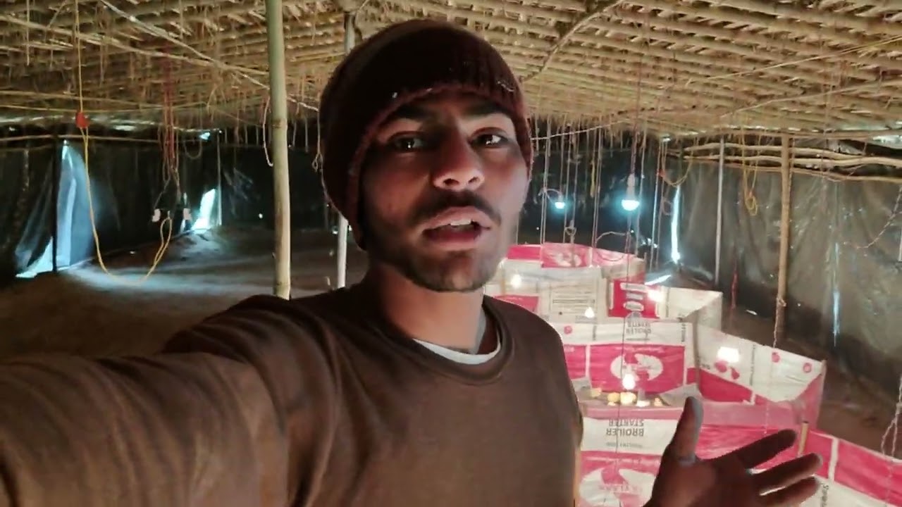 MURGA KA BACCHA A CHUKA HAI // vlogs video 