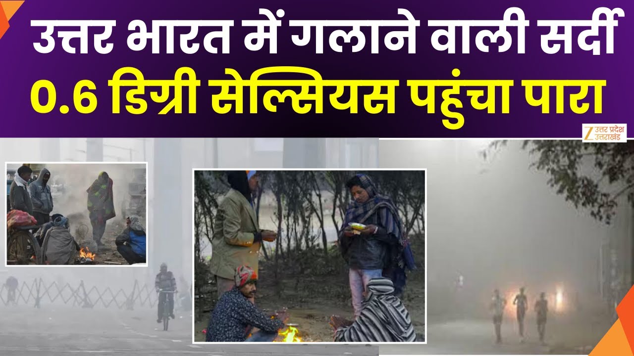 Cold Wave Alert: Delhi-NCR में जीरो के करीब पहुंचा पारा | IMD Alert | Weather Update | Zee UP UK