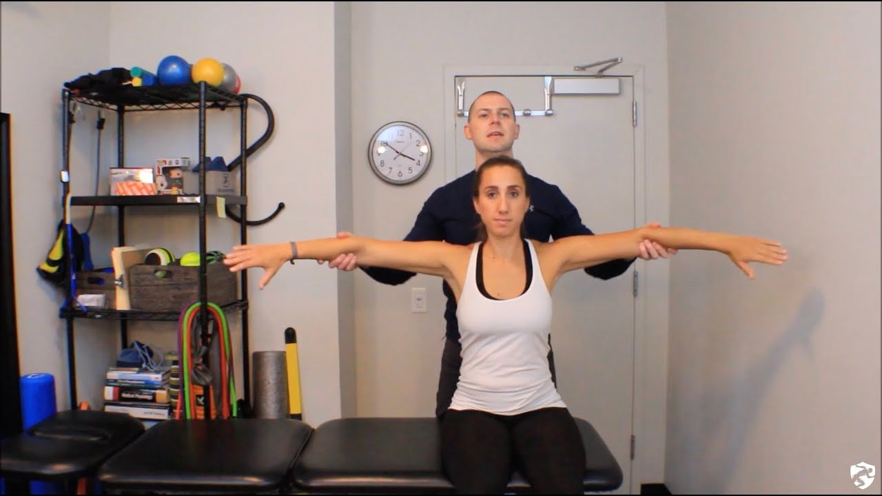 Shoulder Special Test Cluster (Michener et al Subacromial Impingement Cluster)
