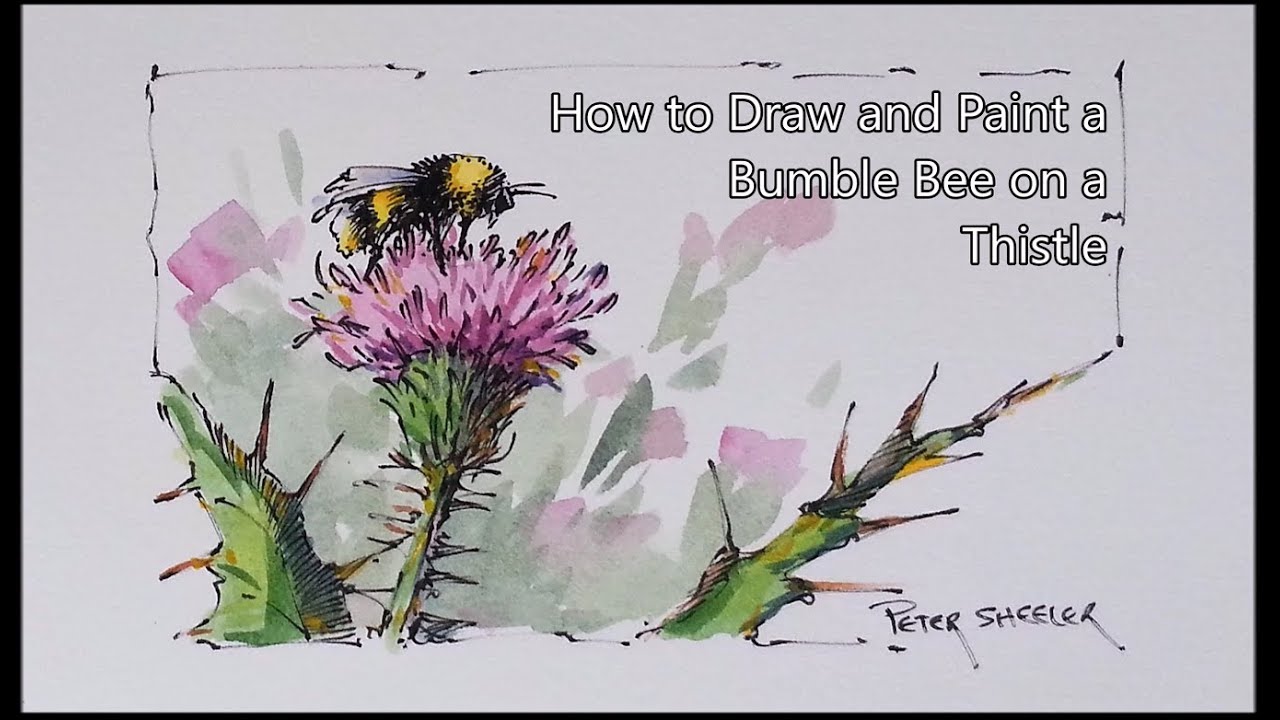 Line and Wash Watercolor Lesson, Bumble bee on a Thistle. Easy to follow. Peter Sheeler