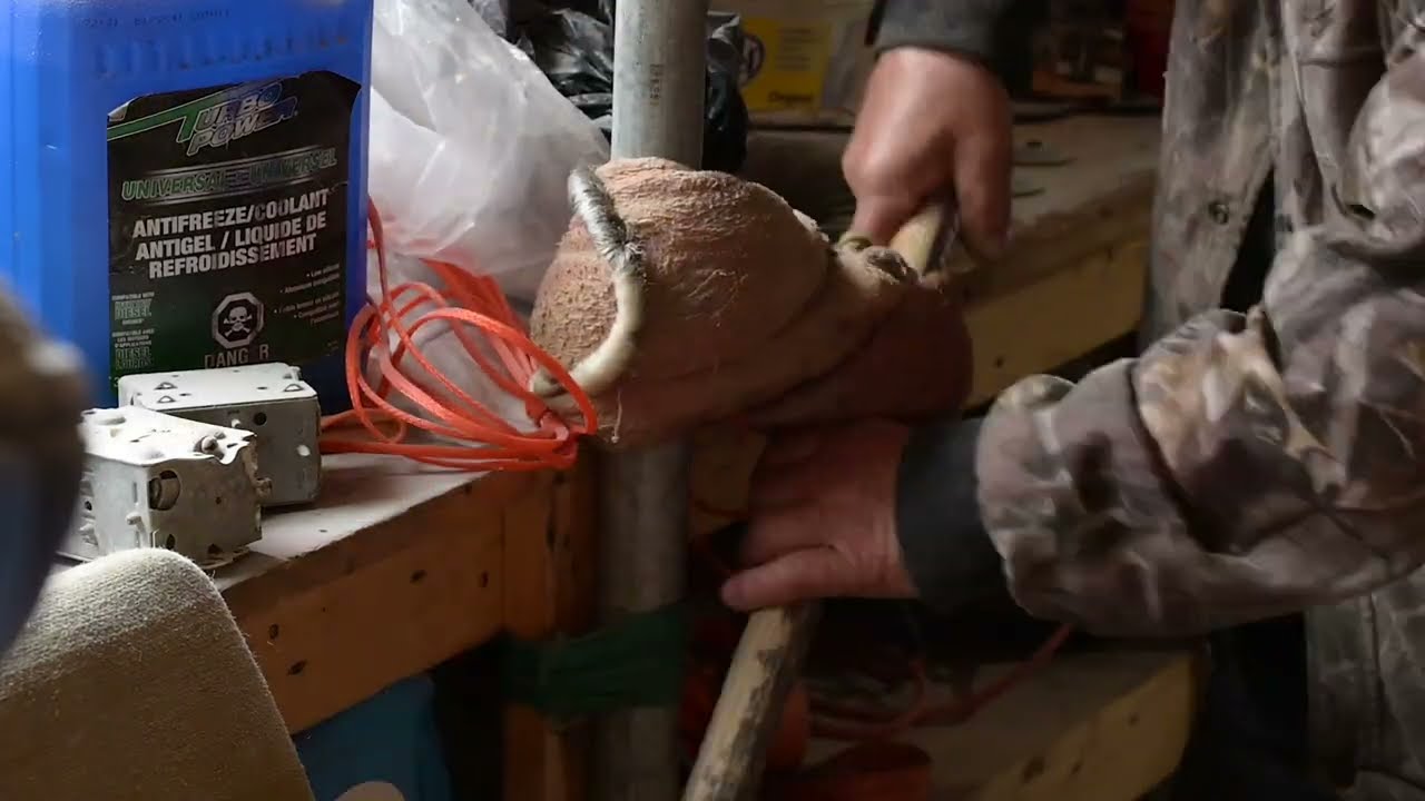 Welcome to the Lower North Shore: Trapping in Otter Brook