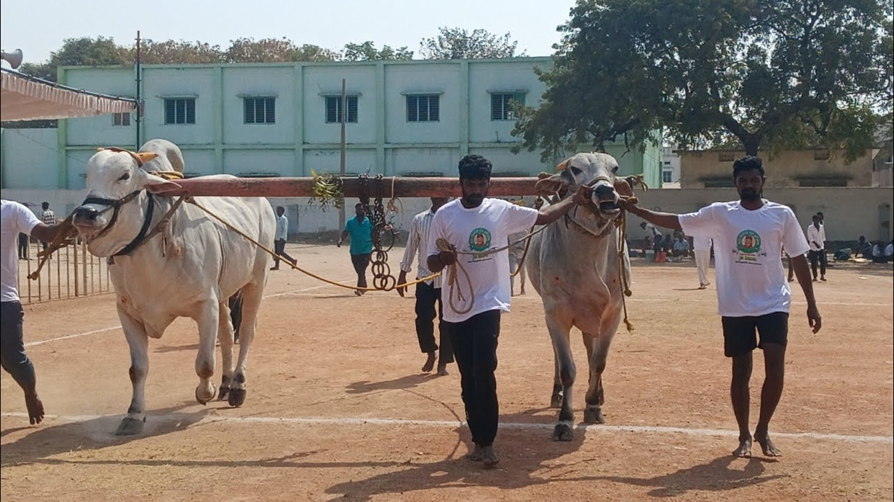 🦁ఐజ న్యూ కేటగిరి విభాగం  మొదటి జత 💥 చిన్న శీను తాండ్రపాడు