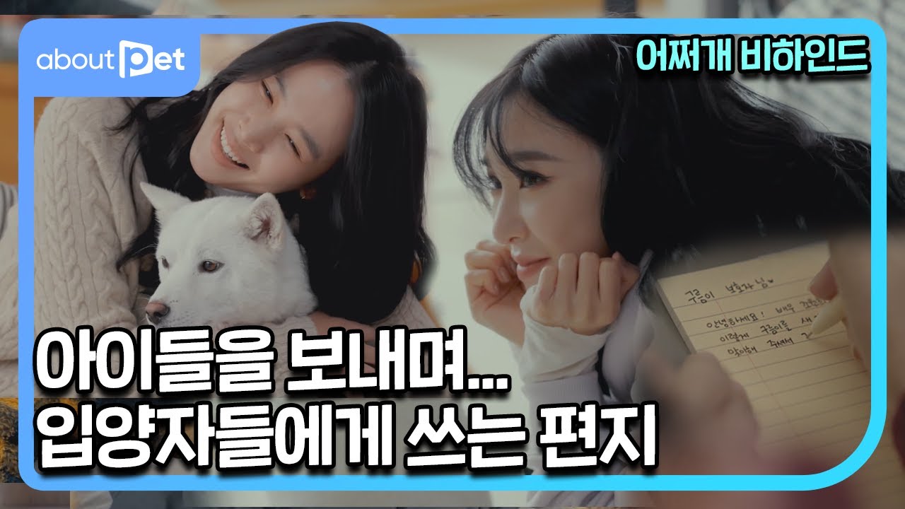 [어쩌개] ※미공개🎬※ 입양자들에게 보내는 편지ㅣ어쩌다 마주친 그 개