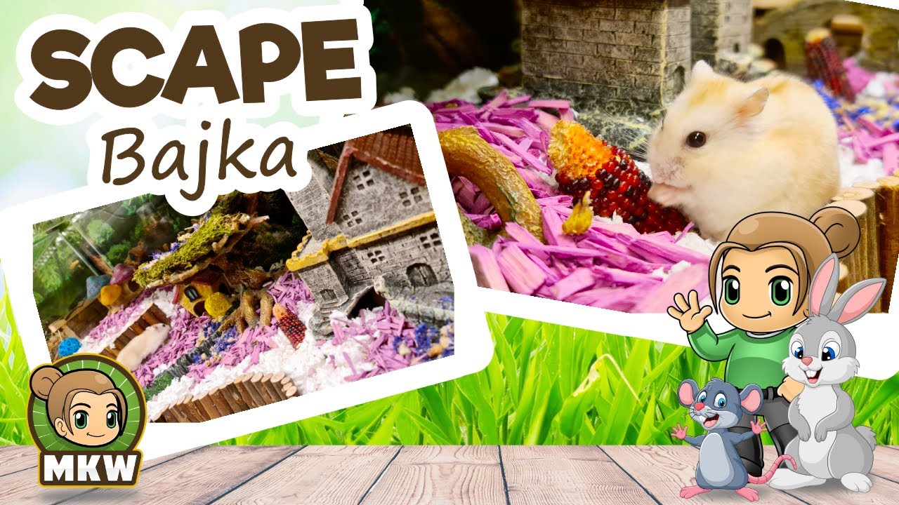 Lokum Bajkowe dla Chomika 🌸 Mariki Świat Gryzoni