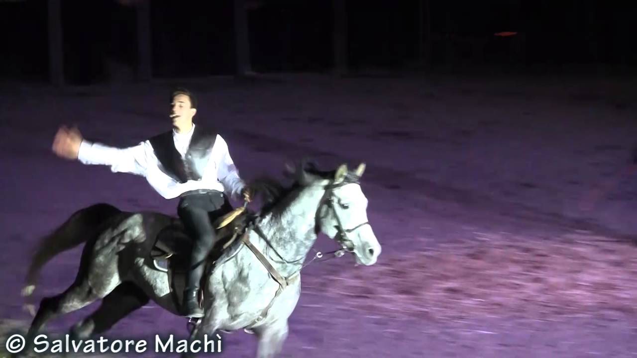 Ciccio Vintaloro - Galà equestre 2016