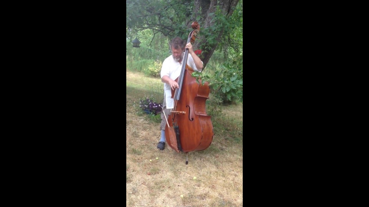 Palle Danielsson - Trubbel