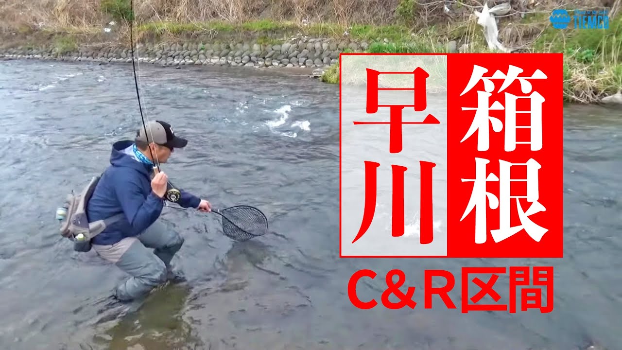 ジグニンフで釣る【箱根・早川キャッチ＆リリース区間】 / Tiemco Fly Fishing JP / ティムコ フライフィッシング