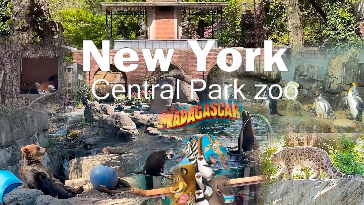 Central Park Zoo New York City NYC - Madagascar Movie Zoo - Full Tour