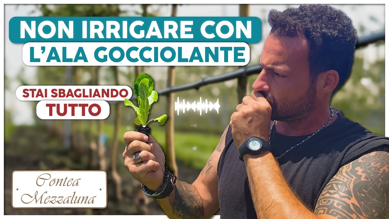 Le Piante Parlano: Evita Errori Comuni di Irrigazione e Nutrizione