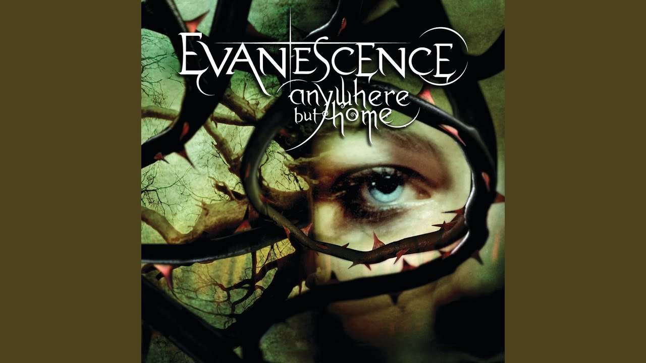 Bring Me To Life (Live From Le Z&eacute;nith,France/2004)