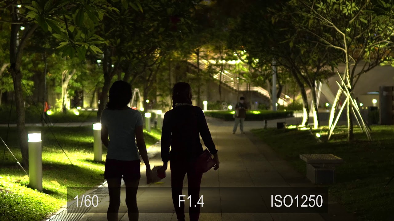 Sony A6500 with Sigma 30mm F1.4 DC DN Lens Low-Light ISO Test