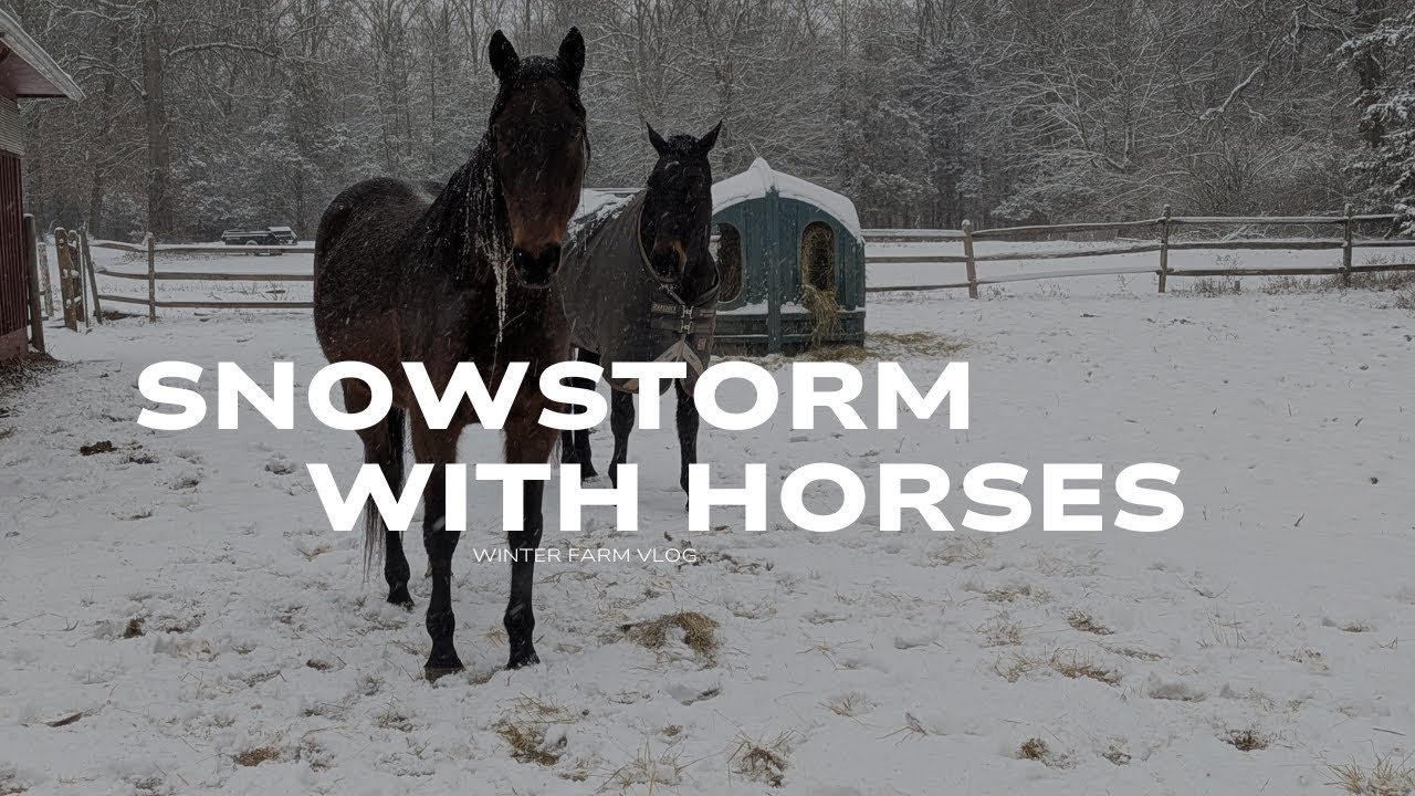 Winter Farm Vlog - Snowstorm!