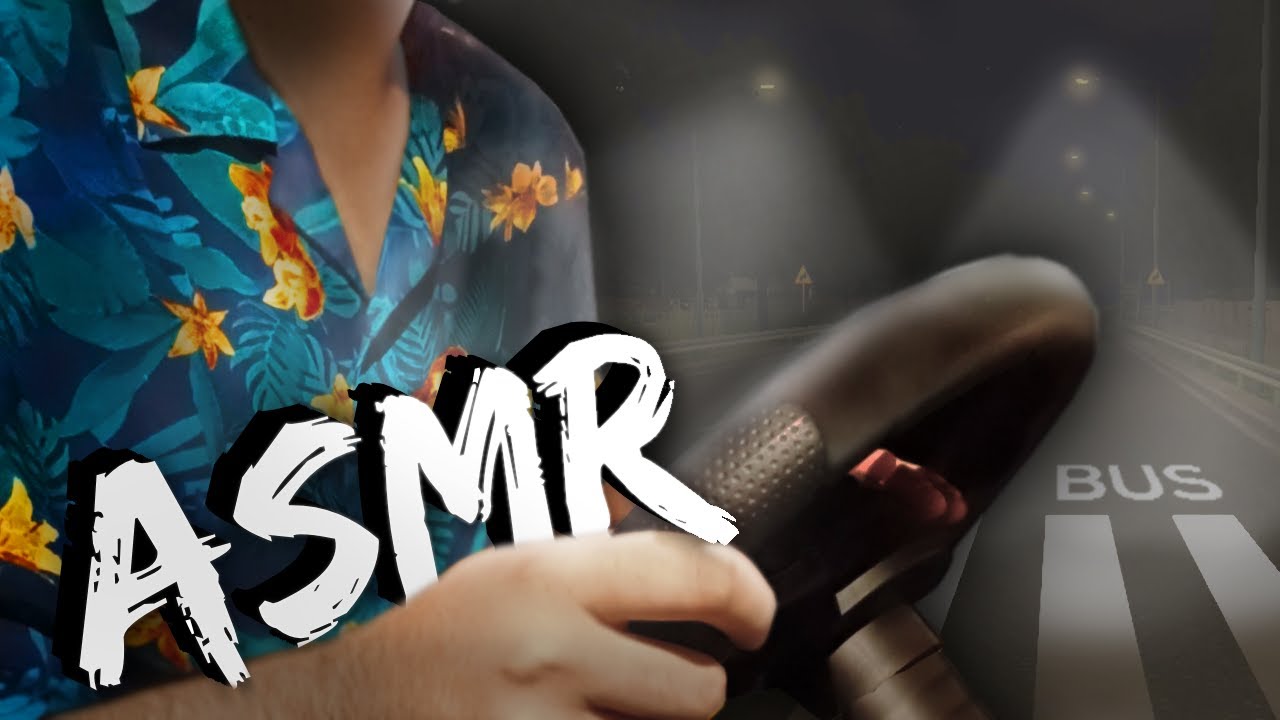 ASMR po polsku • ROLEPLAY  - W AUTOBUSIE🚍 *gameplay*