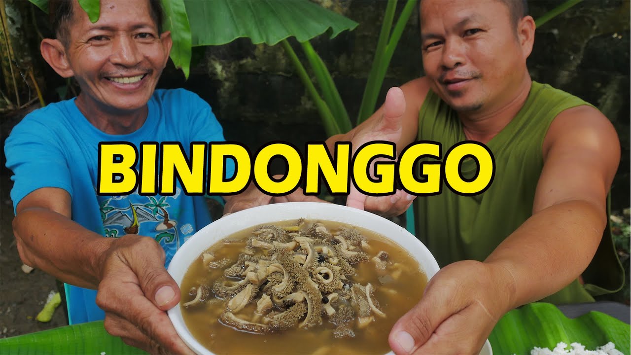 BINDONGGO DE AKLAN