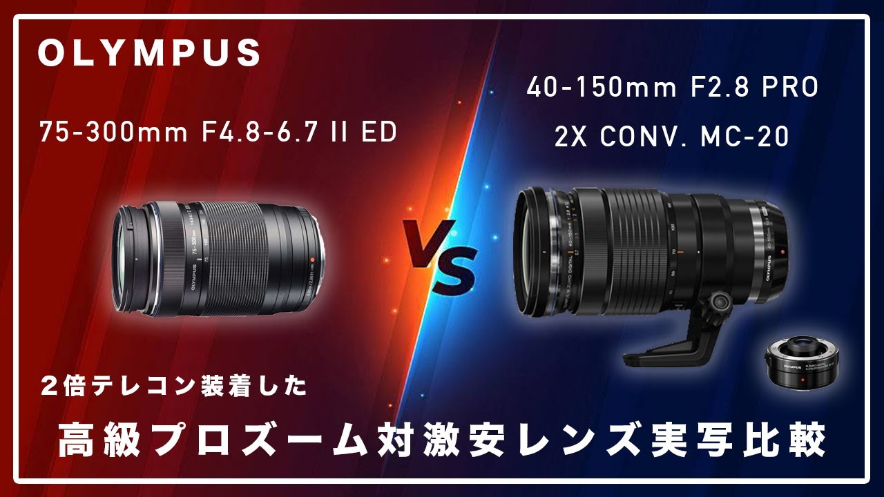 写りはほぼ同じ!? 激安レンズ VS. (2倍テレコン付けた)高級プロズーム実写テスト ー OLYMPUS 75-300mm 対 40-150mm F2.8 PRO / MC-20 編ー