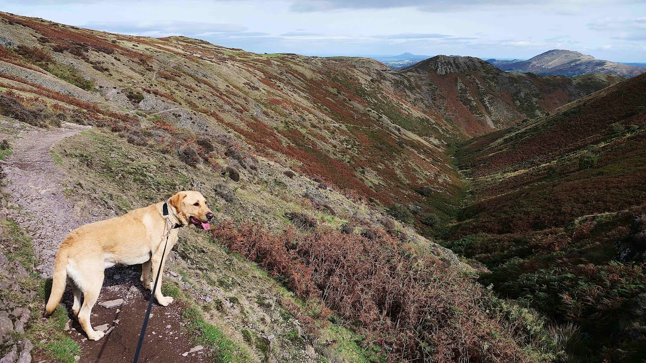 copperdog re visits Shropshire