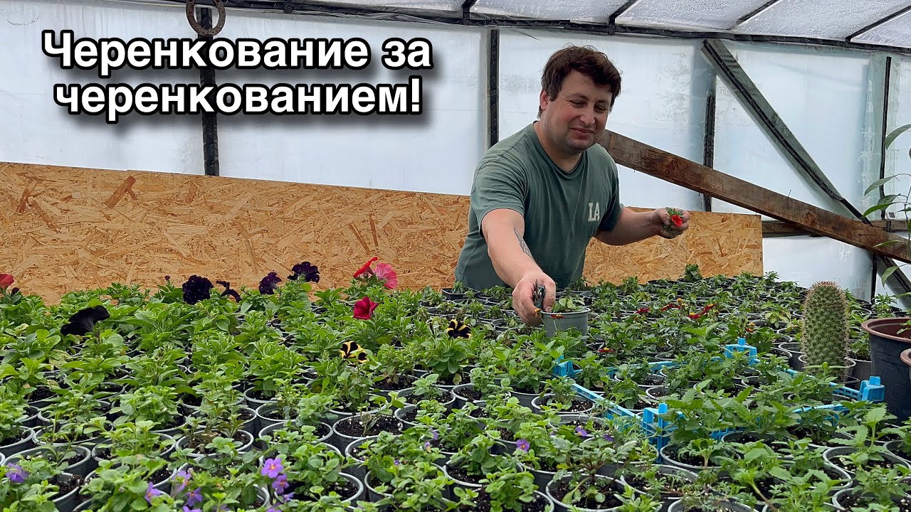У НАС ПОТЕПЛЕЛО. РАБОТЫ ВСЁ БОЛЬШЕ И БОЛЬШЕ.