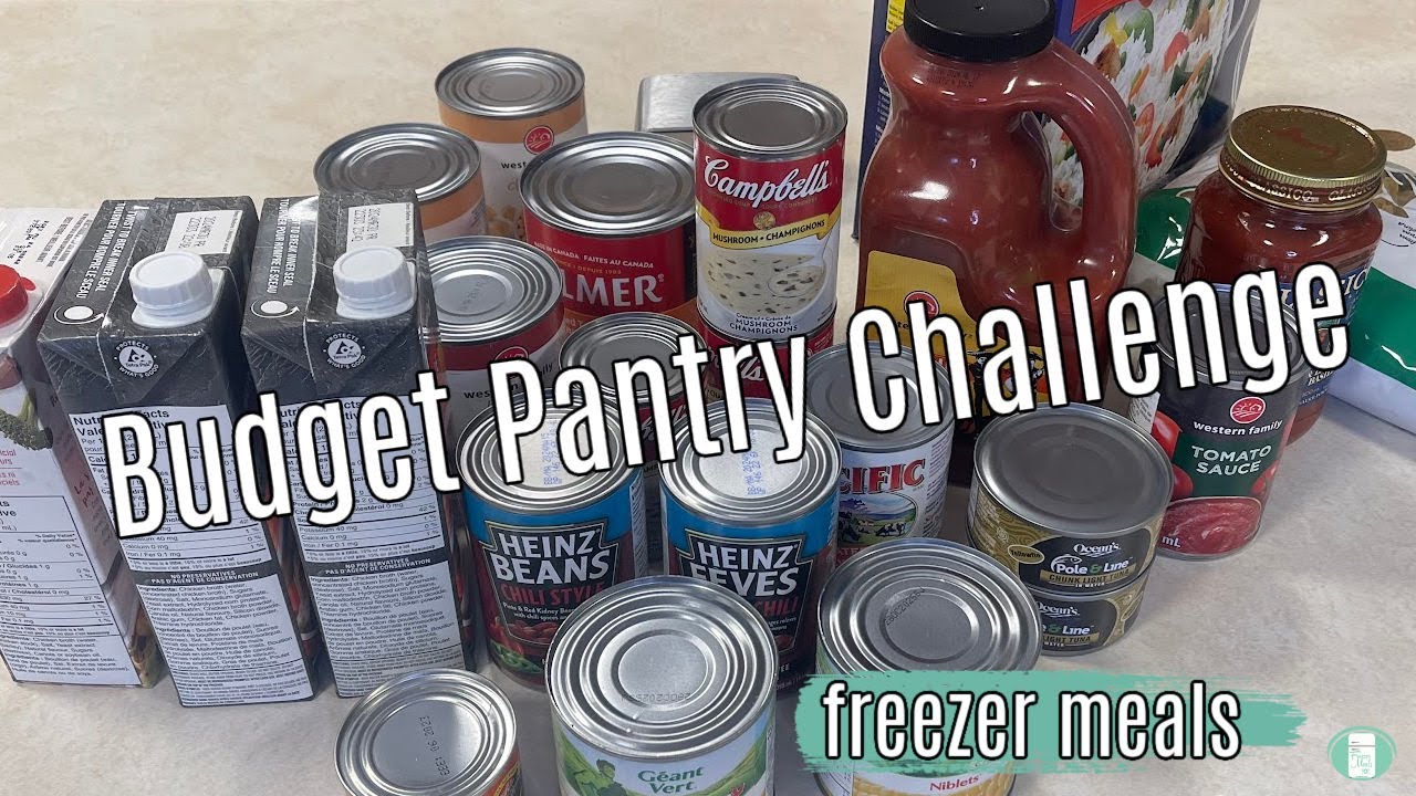 Pantry Challenge Freezer Meals | Extreme BUDGET Dinners