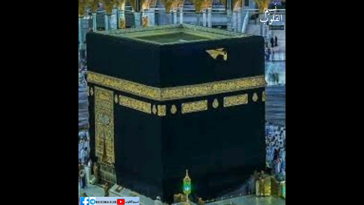 روحي للكعبة حنت {المنشد شاهر بيرقدار }