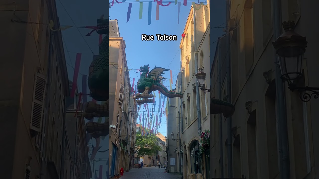 Rue Taison 📍 le Graoully, dragon symbolique de la ville Metz #metz #graoully#dragon