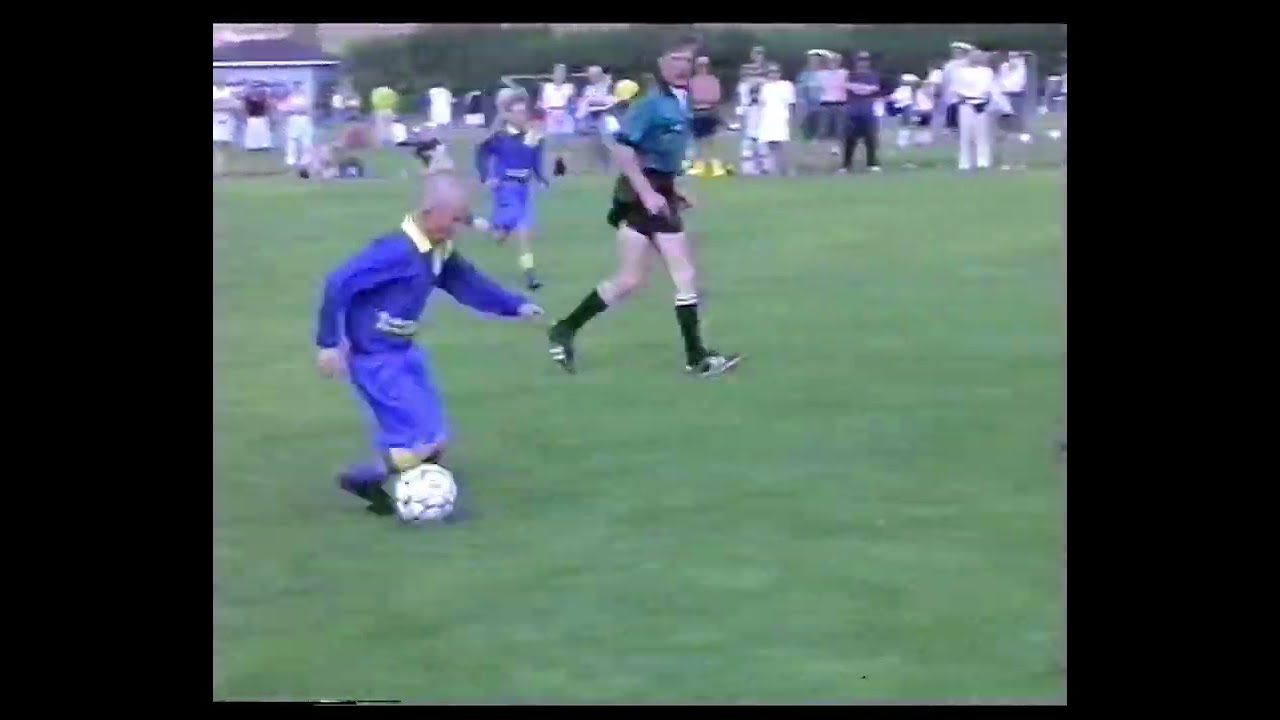 Taitavuusharjoittelu (2001)