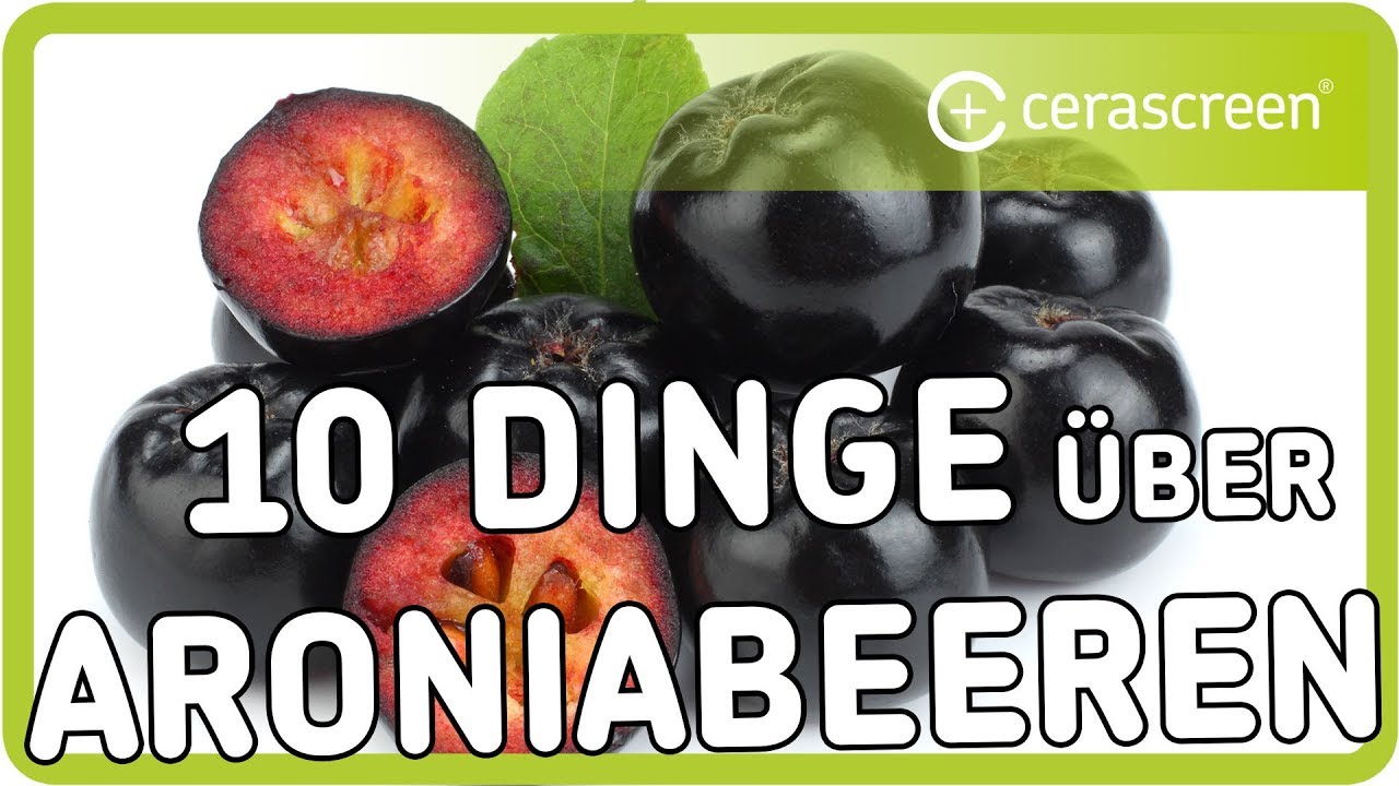 Warum sind Aroniabeeren so gesund? | 10 Dinge &uuml;ber Aroniabeeren