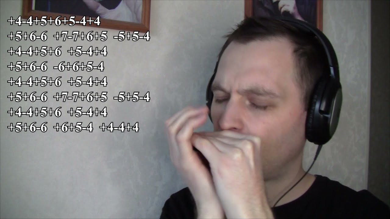 The Lord of the Rings - The Shire (harmonica cover)