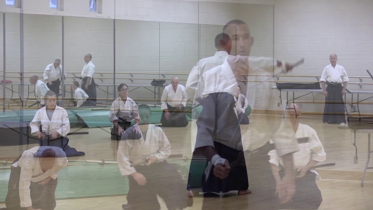 Birankai Aikido Summer Camp 2019 - R. Savoca, Shidoin, Class 3 - Iaido