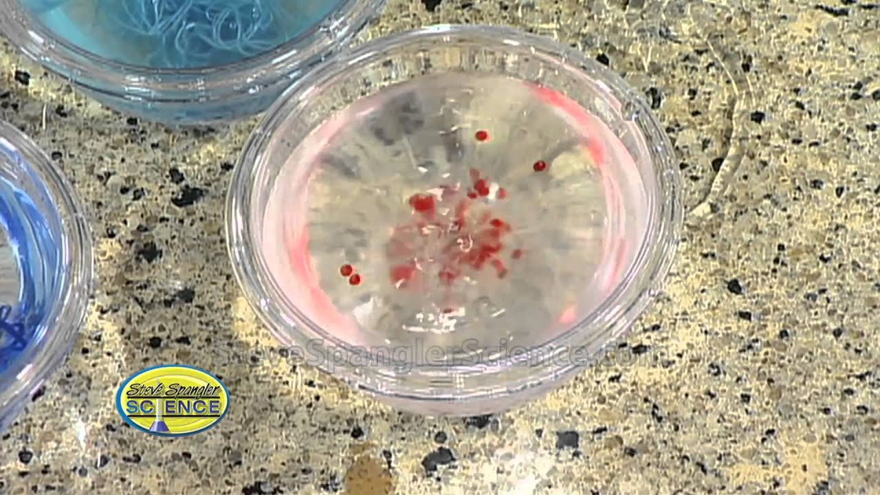 Molecular Gastronomy - Cool Science Experiment