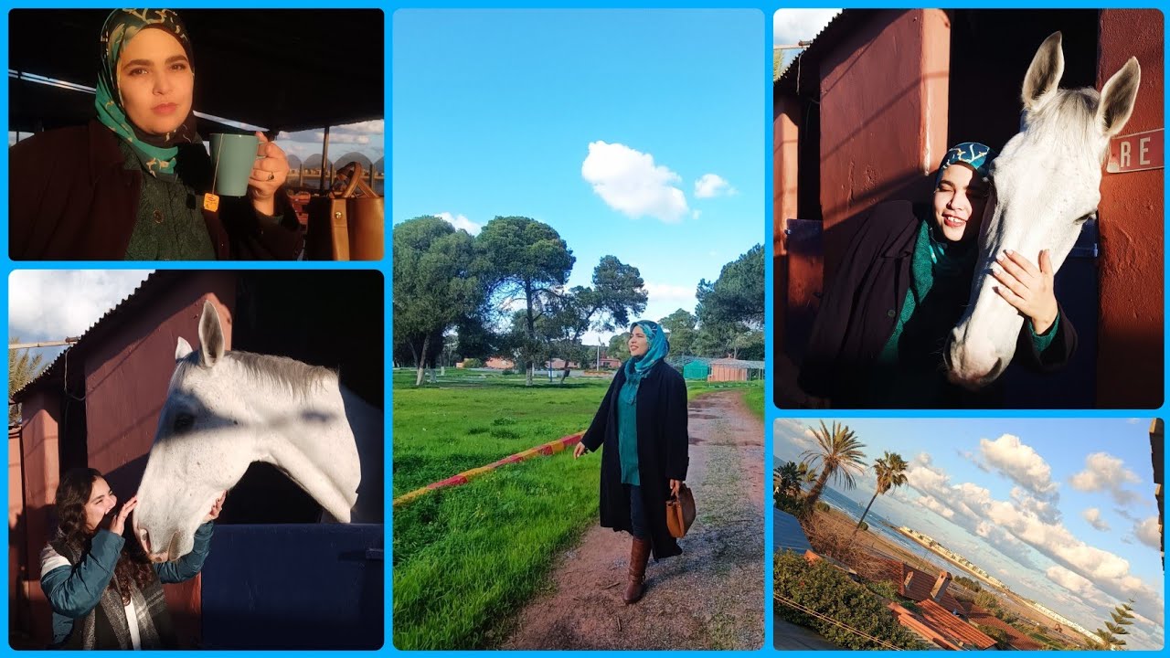 واخا البرد جبتلكم فين تخرجوا فالرباط : منظر رائع، خصوصا لعشاق الخيول 🐴🐎/ Club équestre Oued Ikkem
