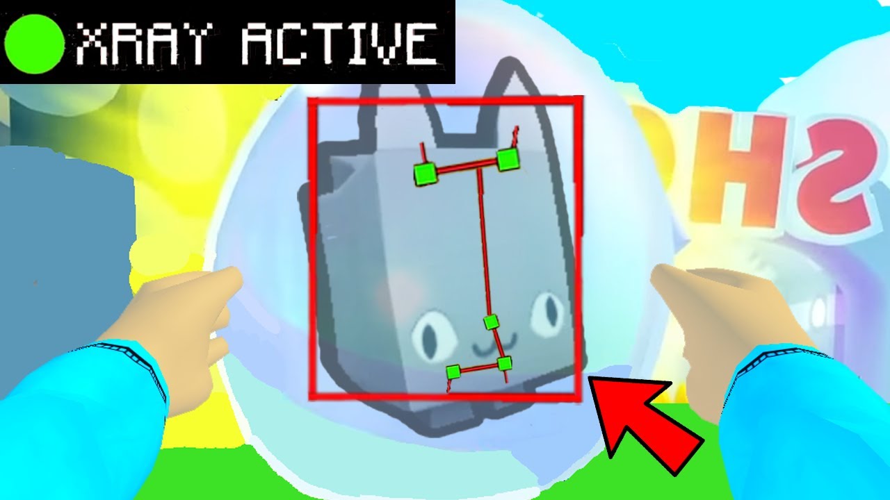 HACKER ZNISZCZYŁ MI GRĘ W PET SIMULATOR X.. (PRZEWIDUJE PETY)