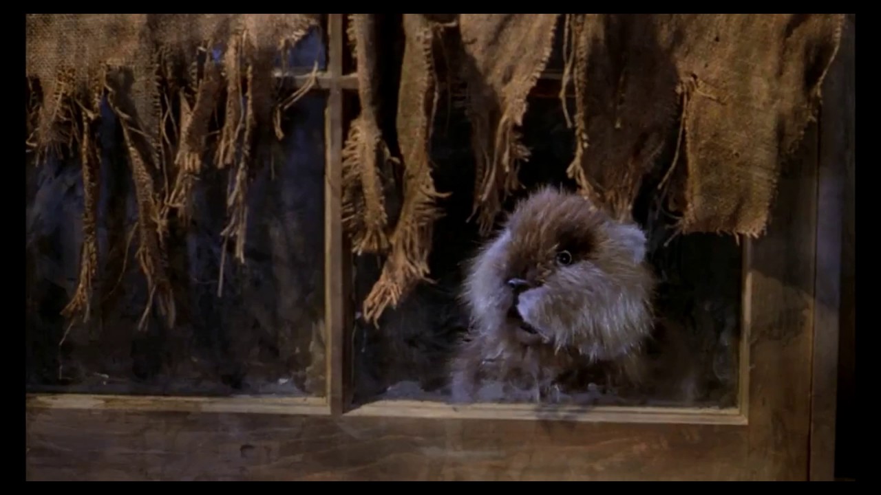 Bill Murray as Carl in Caddyshack think like a animal