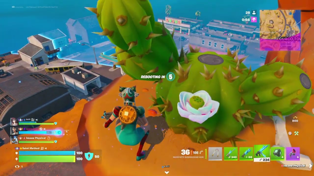 Fortnite_20260130234501