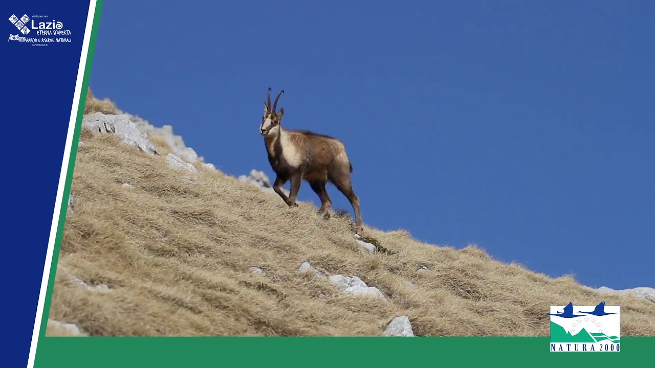 ZSC Cime del Massiccio della Meta