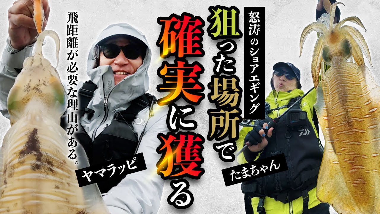 【エギング】ショアで連発！ヤマラッピ&たまちゃん和歌山ショアエギング