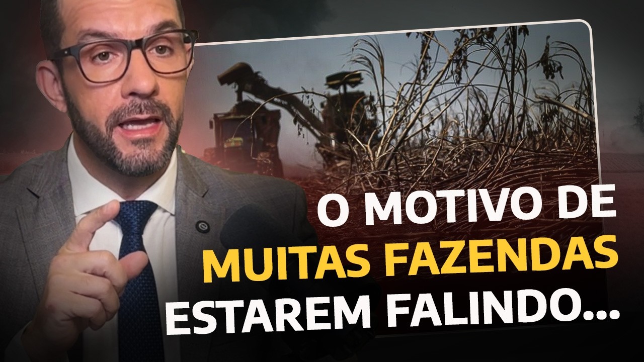 Recuperação judicial no agro disparou: o que está acontecendo com o produtor rural