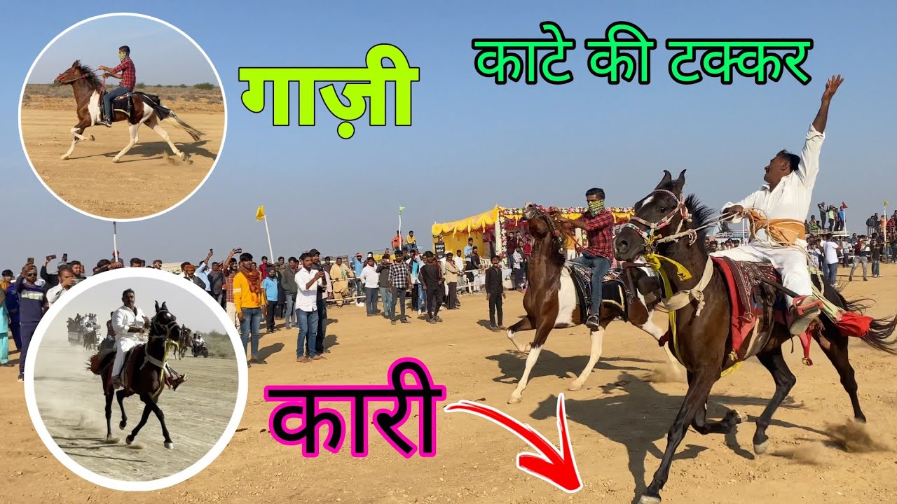 गाज़ी और कारी के बीच काटे की टक्कर || Horse Rewal Racing at Vekriya Rann 2023